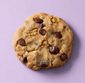 Chocolate Chip Cookie