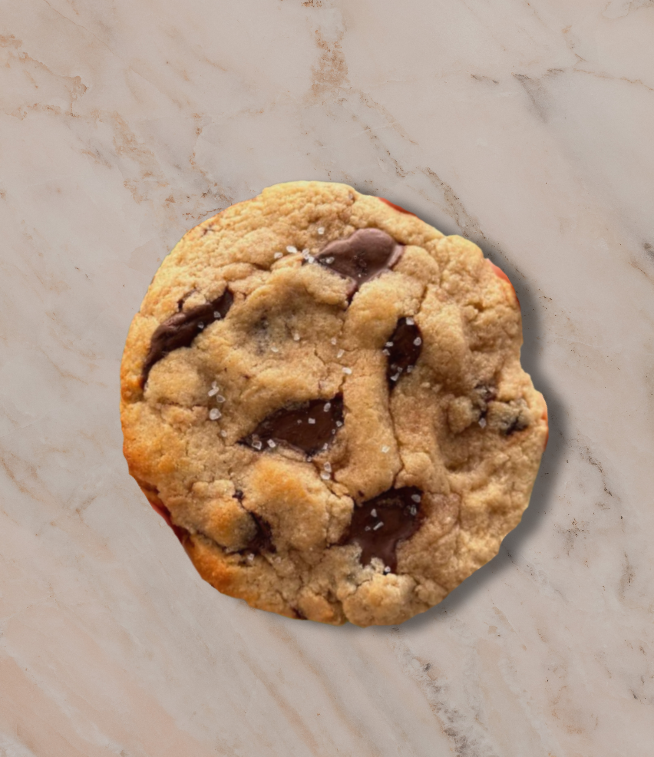 Chocolate Chip Cookie